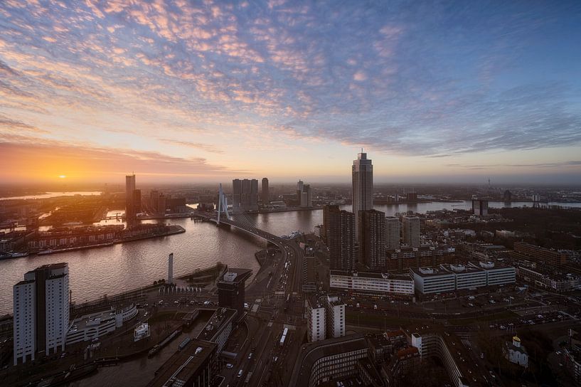 Discover the beauty of Rotterdam by Roy Poots