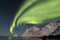 Nordlicht auf den Lofoten