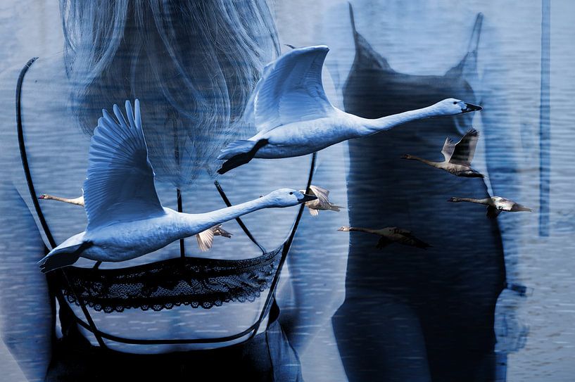 Voler par True Color Stories