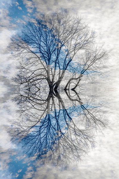 Silhouette eines Baumes in den Wolken von Lisette Rijkers