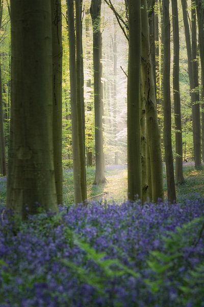 Connexion à l'espace par Loris Photography