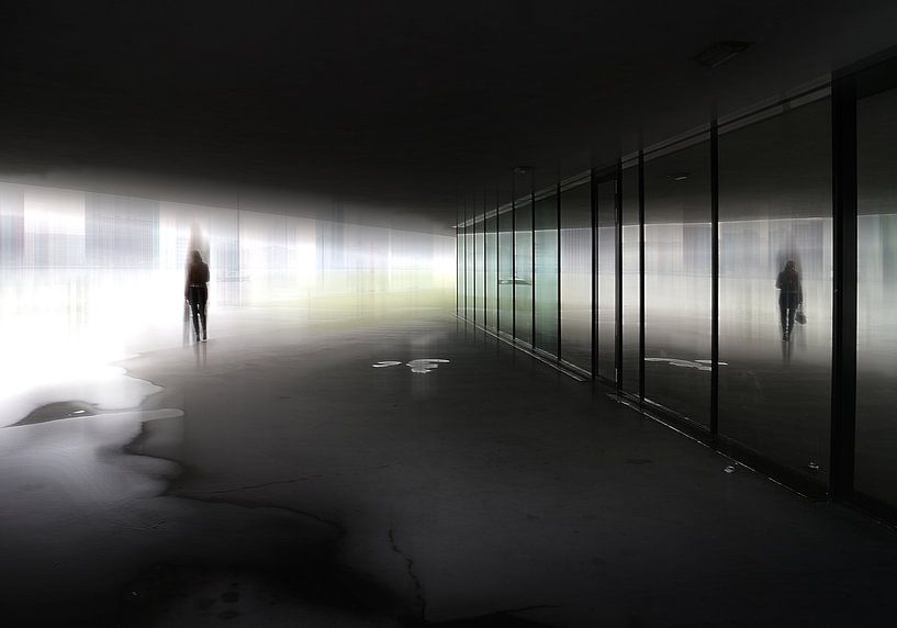 die ene vrouw von Henk Speksnijder