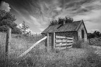 Landschaft Süd-Limburg