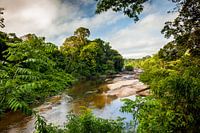 View on the Suriname river near Awarradam jungle camp, Suriname