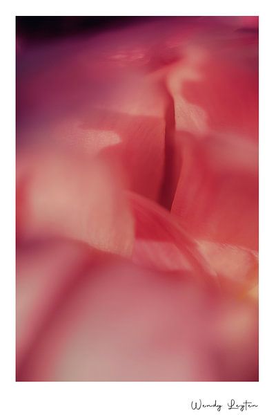 Flower Wisdom par Wendy Leyten