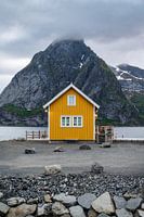 Gelbes Haus in Sakrisøy auf den Lofoten, Norwegen