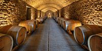 Wijnkelder in Toscane
