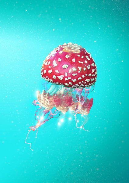 Halluzination von 360brain