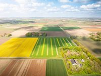 Splashes of colour in the Northeast Polder