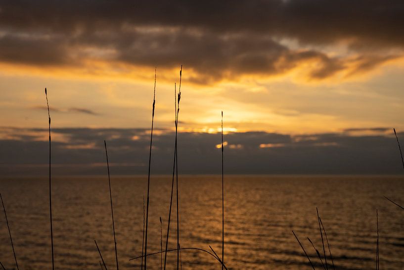 Magischer Sonnenuntergang über dem IJsselmeer von Rik Brussel