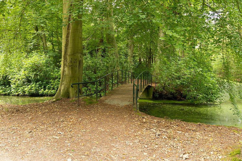 Brücke über das Wasser im Wald von Bopper Balten