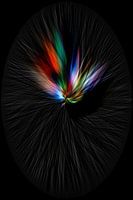 Wie bunt eine Feder sein kann, ein Stück Abstraktion und Expressionismus