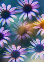 Sonnenhutblüten, fotografiert von einem Prisma.