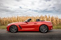 BMW Z4 vor einem Maisfeld