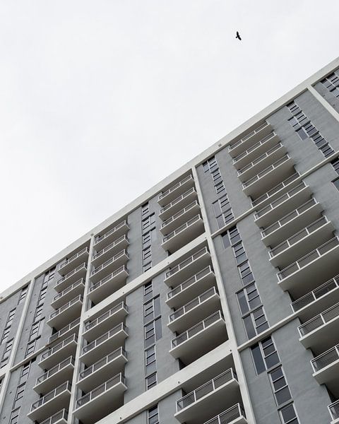 Grey Architecture Art Deco District Miami | Minimalism by Vera Yve