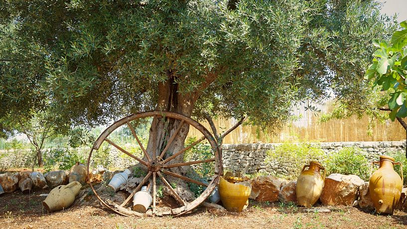 Southern Italy by Saranda in t Veld Fotografie