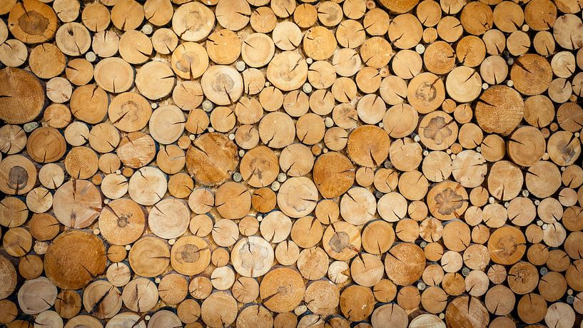 Houten wand von Karel Pops