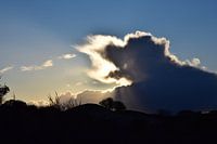 Waiting for sunshine