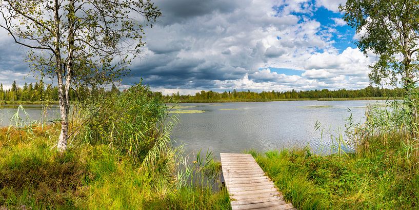 Steg am Riedsee, Wurzacher Ried von Walter G. Allgöwer