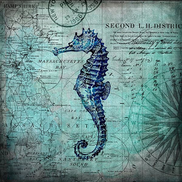 Le monde sous-marin de Seahorse par Andrea Haase