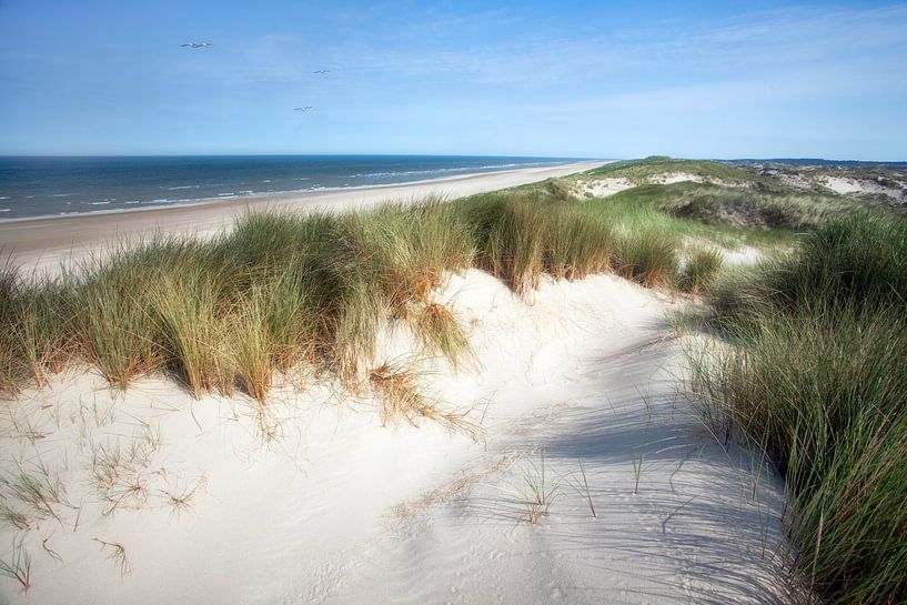 The sea dune in Egmond aan Zee by Fotografie Egmond