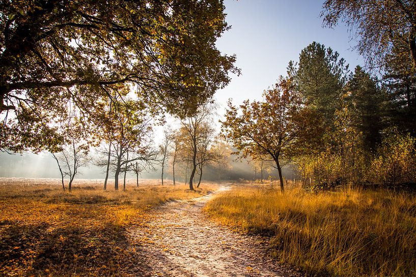 Mistige zonsopkomst by Jeffrey Van Zandbeek