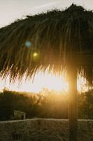 Lever de soleil sous un parasol en chaume