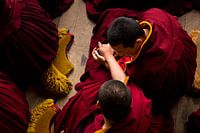 Two young monks during morning meditation