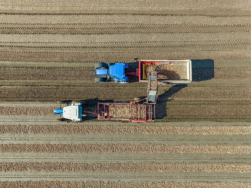 Tractors harvesting onions in a field seen from above by Sjoerd van der Wal Photography