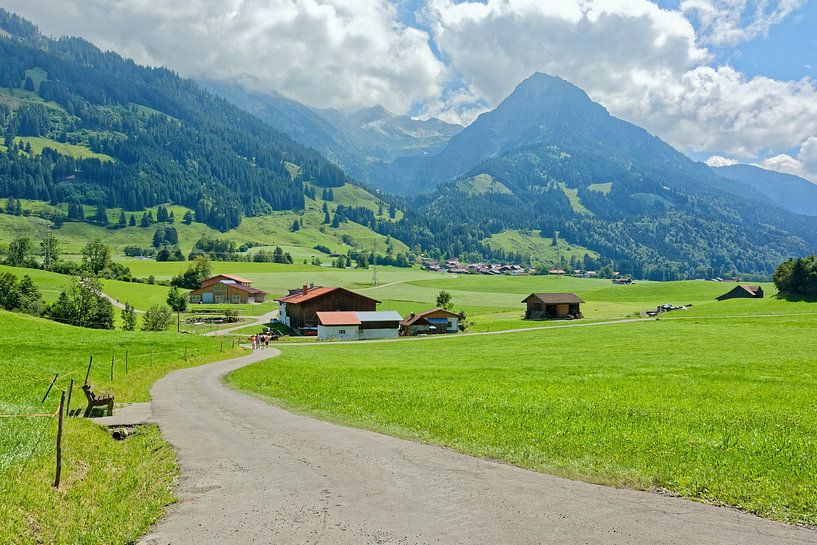 Blick auf Reichenbach und Rubihorn bei Oberstdorf von Gisela Scheffbuch