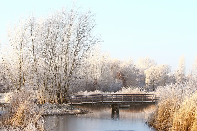 Winters Gorinchem von Richard Kortland