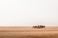 En route through Wadi Rum desert in Jordan