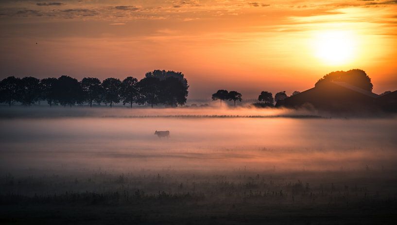 Empel #13 par Ingeborg Ruyken