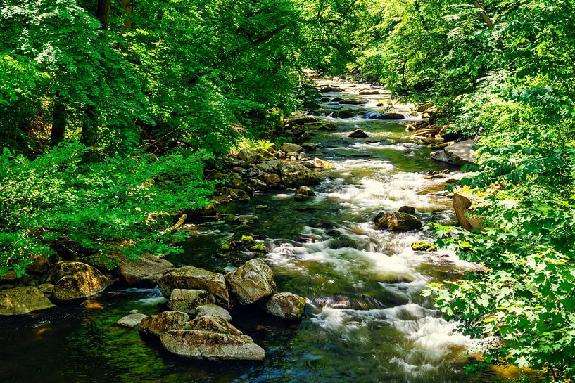 Vue du lit de la rivière Bode dans les montagnes du Harz par Andreas Völkel