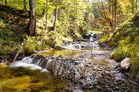 Herbststimmung in den Bergen – Farbenpracht, Ruhe und Magie der Natur