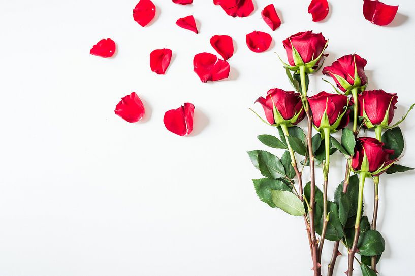 Le chaos des roses rouges par Atelier Liesjes