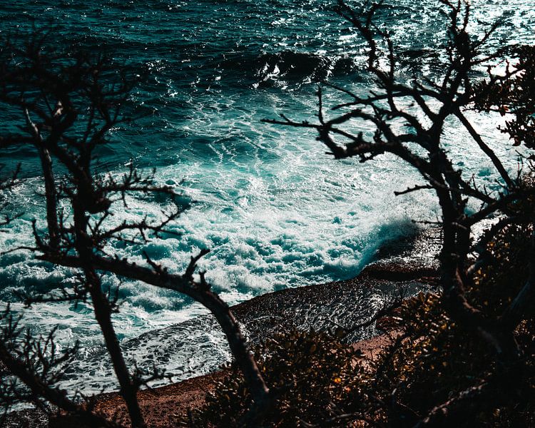 Dramatic waves at a cliff with trees by Milad Hussin