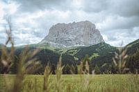 Sassolungo dans les Dolomites