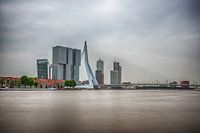 Rotterdam Erasmusbrug