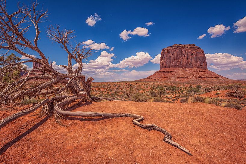 Monument Valley, Merrick Butte, Utah van Sander Sterk