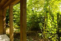 summer on the veranda