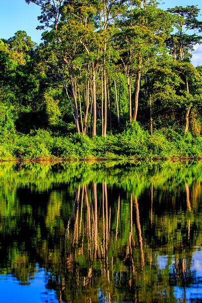 Paloemeu (manchmal auch Palumeu geschrieben) ist ein indigenes Dorf. von René Holtslag