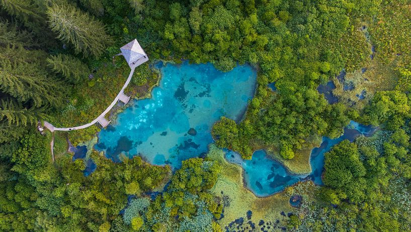 Source d'eau dans les Alpes par Thijs Friederich