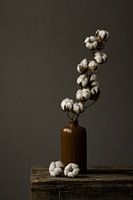 Photo of cotton in brown pottery vase