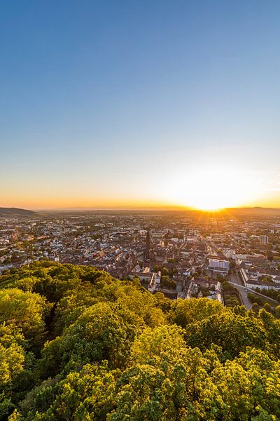 View from Schlossberg over Freiburg im Breisgau by Werner Dieterich