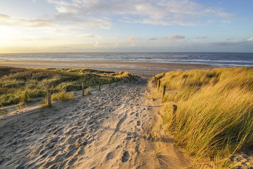 Dunes and beach on the coast of the Netherlands by Dirk van Egmond