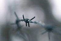 Das Seil des Teufels