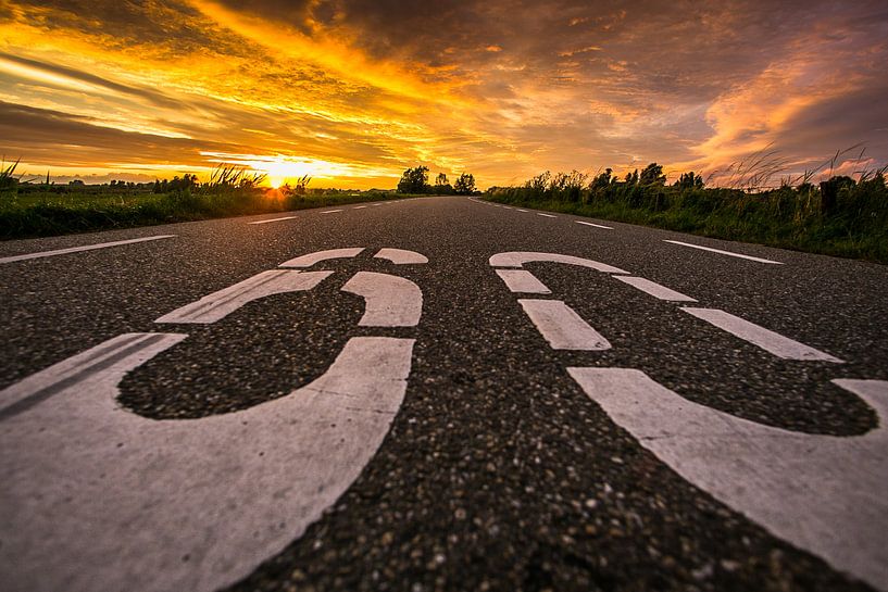 Sixty von Michel de Koning