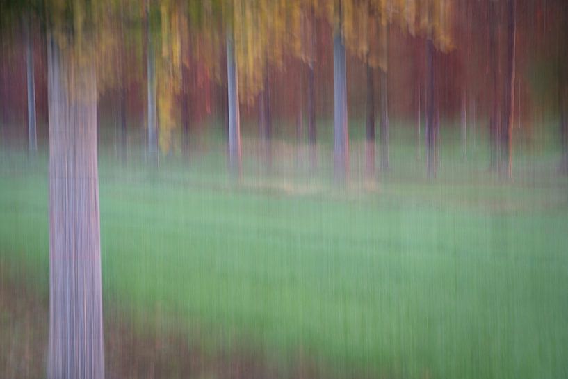 Obstgarten Auszug 7 von Daniëlle Thijssen