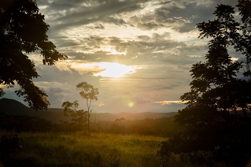 Champ avec lever de soleil par MM Imageworks